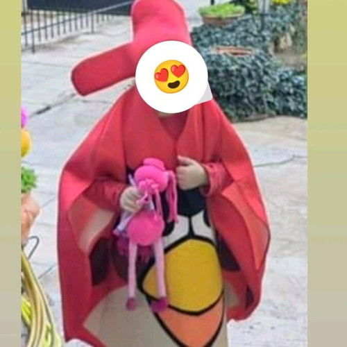 Angry Birds Red carnival costume like new