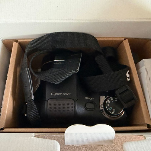 Sony H300 camera with 20 megapixels and 35x optical zoom