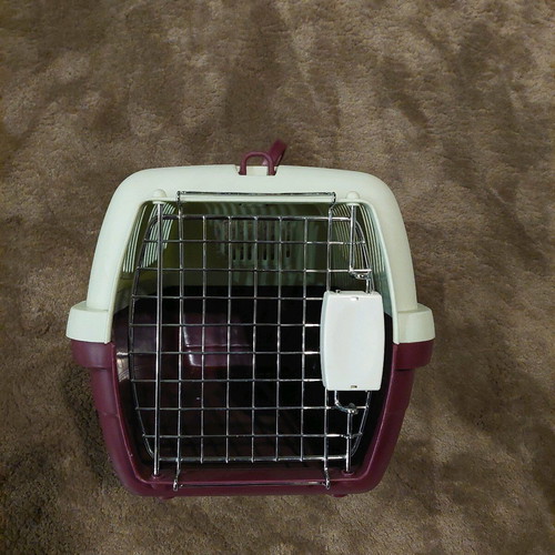 Plastic dog carrier cage like new, small Maltese type