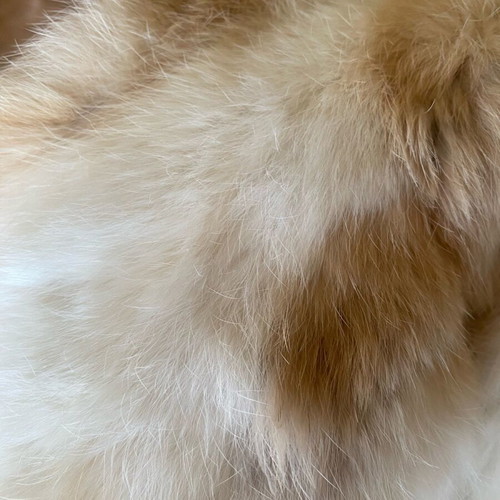 Natural rabbit fur jacket like new, beige