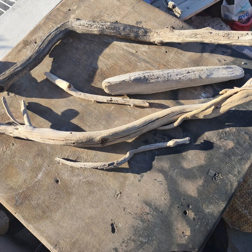 Driftwood for artists, pack of about 80 pieces, natural