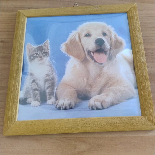 Wooden frame with plexiglass surface like new