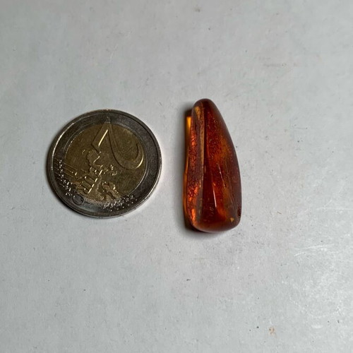 Amber with mosquito used