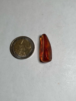 Amber with mosquito used
