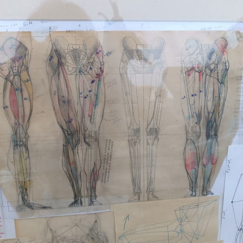 Anatomical Study Board by Efthymios Kollias used, vintage art