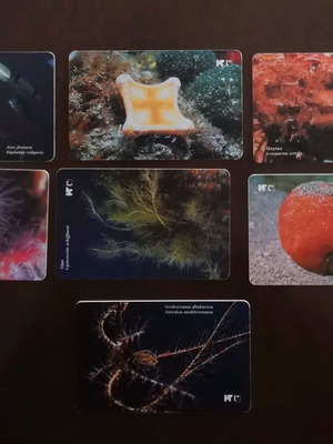 Croatia phone cards used, pack of 7