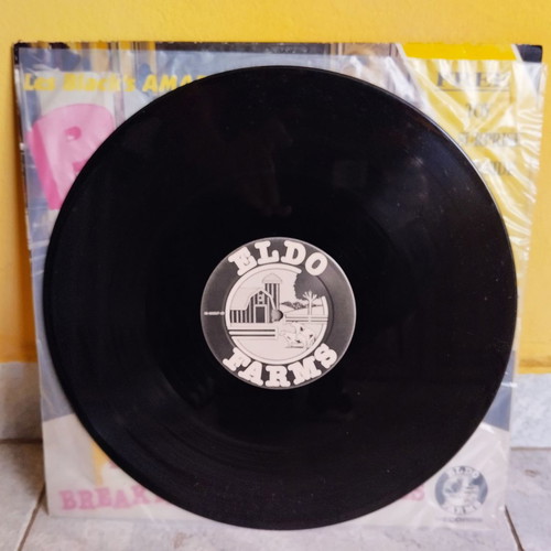 Pink Holes Breakfast With The Holes 1985 vinyl record used, punk rock