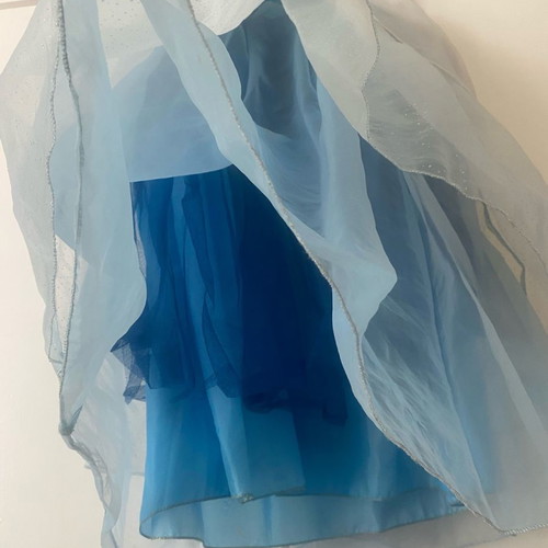 Cinderella costume from Disneyland worn for 2-3 hours