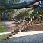 2 εξοχικές κατοικίες με περιβάλλοντα χώρο προς πωληση στη νοτιοανατολική Πελοπόννησο