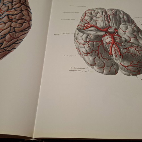 Sobotta Anatomy Atlas used, Greek edition