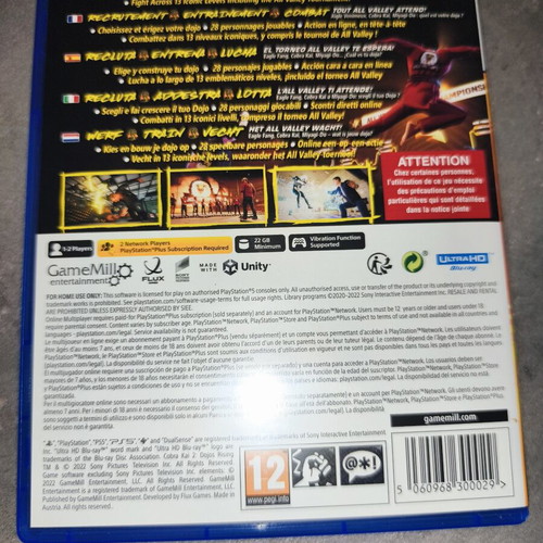 Cobra Kai 2 Dojos Rising PlayStation 5 game like new