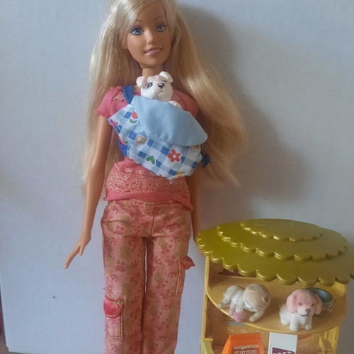 Mattel Barbie I Can Be Pet Sitter playset used with puppies and accessories