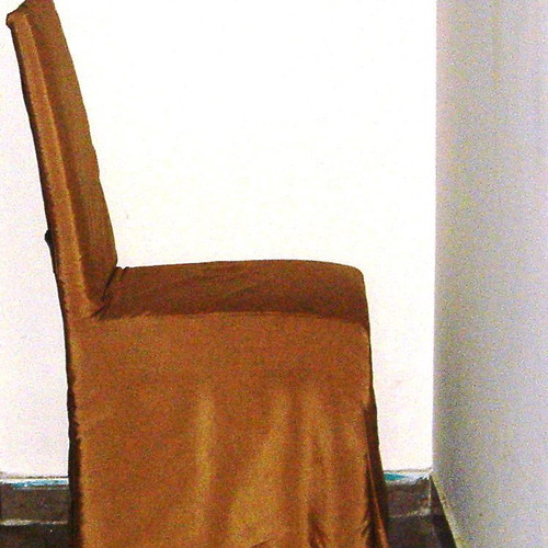 Luxury dining chair with cover like new
