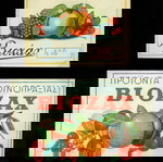  ΔΥΟ ΠΑΛΙΕΣ ΕΤΙΚΕΤΕΣ . " ΒΙΟΖΑΧ ", Προϊόντα Εργοστ. Ζαχαροπλαστικής  , περίπου 1950-1955. Σε πολύ καλή κατάσταση.