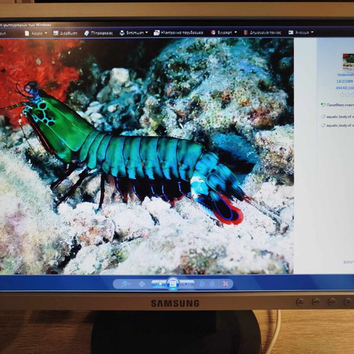 Samsung SyncMaster 920 nw 19" monitor like new