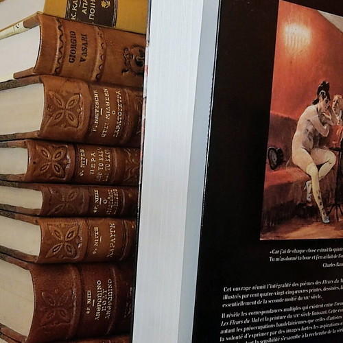 Les Fleurs du Mal Baudelaire hardcover like new, French language