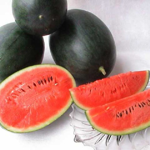 Black Diamond watermelon seeds, pack of 20, traditional variety