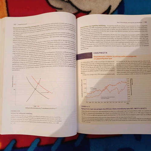 Macroeconomic Theory like new, academic textbook