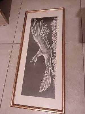 Vintage decorative framed art with classic bird theme, like new