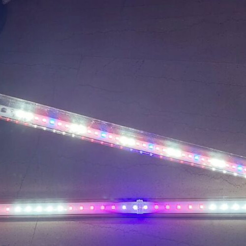 Aquael Leddy Tube Plant 2.0 aquarium lamps like new, 10W 41.5cm & 14W 70cm