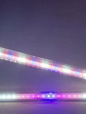 Aquael Leddy Tube Plant 2.0 aquarium lamps like new, 10W 41.5cm & 14W 70cm