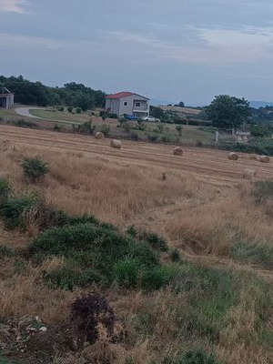 Agricultural land 5,000 m² in Hortiatis, Thessaloniki