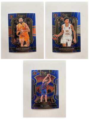 EuroLeague Blue Lot Pau Gasol #2, Risacher #138, Thompson #181 cards like new