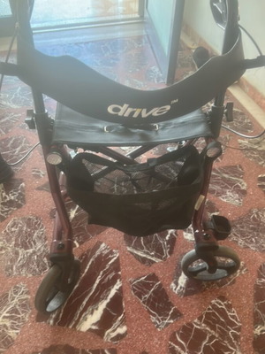 Torro Outdoor Drive walker used with large 12-inch wheels