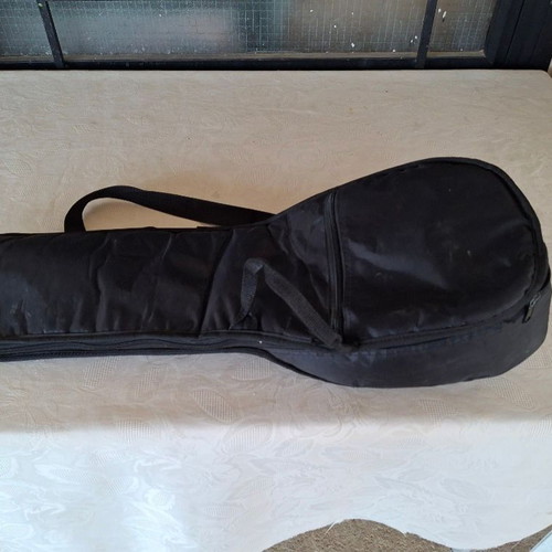Violin case rectangular and mandolin gig bag used