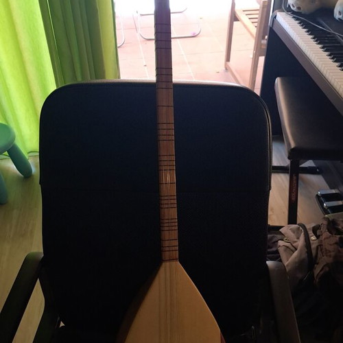 Tambouras traditional string instrument