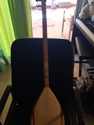 Tambouras traditional string instrument