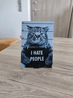 3D printed cat plaque with I HATE PEOPLE phrase new