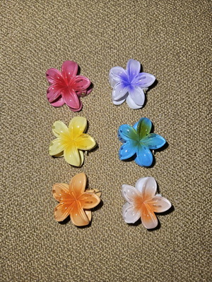 Small hair clips new, multicolored, 6 pieces