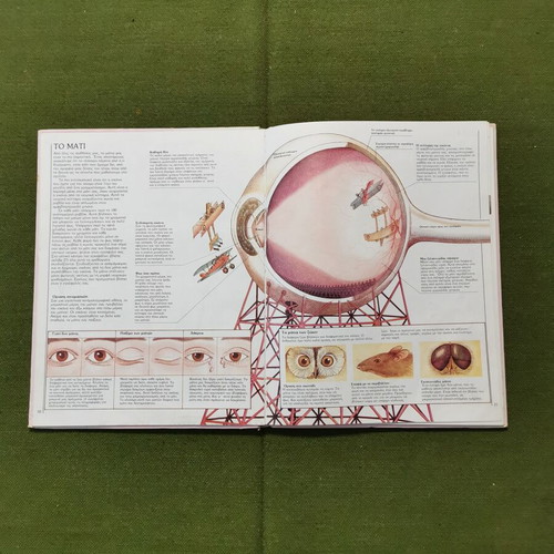 Book The Body and How It Works used