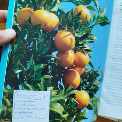 Kouzines tis Elladas 2 books like new with traditional recipes
