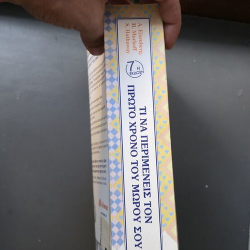What to Expect the First Year of Your Baby book like new, Greek