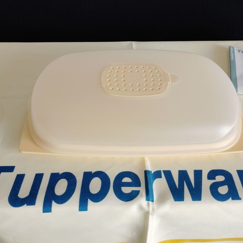 Smart low cheese keeper new