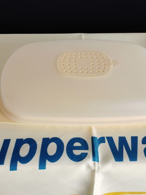Smart low cheese keeper new