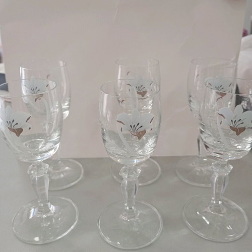 Set of 6 liqueur glasses used with Bohemia Crystal design