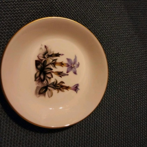 Royal Worcester Fine Bone China plate like new with purple flower pattern