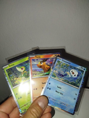 Pokemon Starters Cards new, Black Bolt and White Flare Holofoil