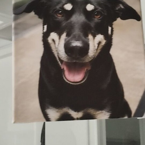 Canvas with custom print, 40x30cm