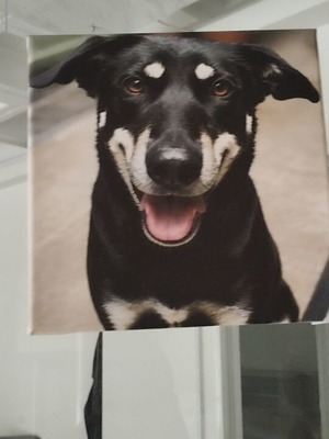 Canvas with custom print, 40x30cm