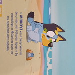 Bluey The Beach like new