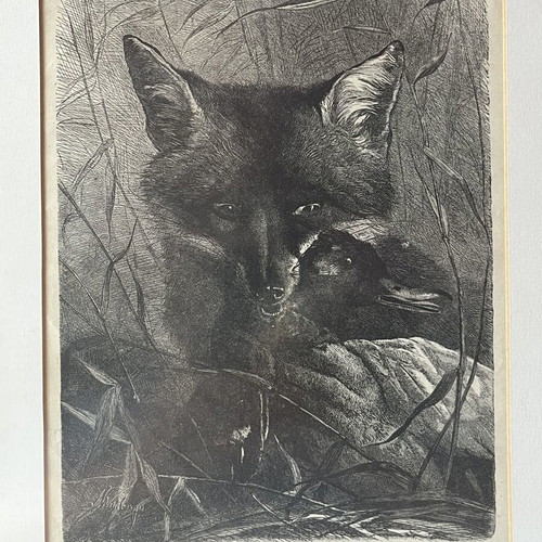 Rare Authentic Wood Engraving "The Fox and the Duck" 1872 Like New with Frame