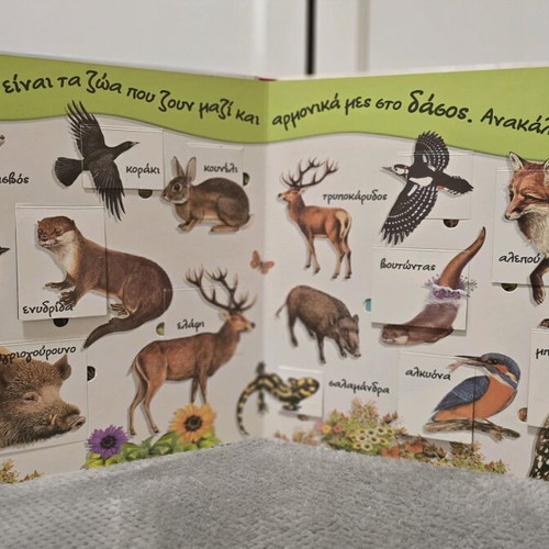 Children's Educational Books by Susaeta New