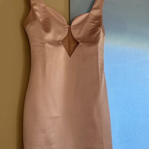 Mind Matter dress impressive nude pink satin Medium like new