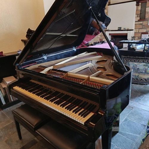 Estonia Grand Piano 3/4 Soviet Era like new