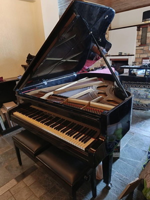 Estonia Grand Piano 3/4 Soviet Era like new