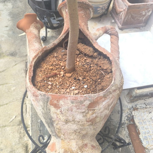 Decorative amphora or askos vase used, terracotta planter